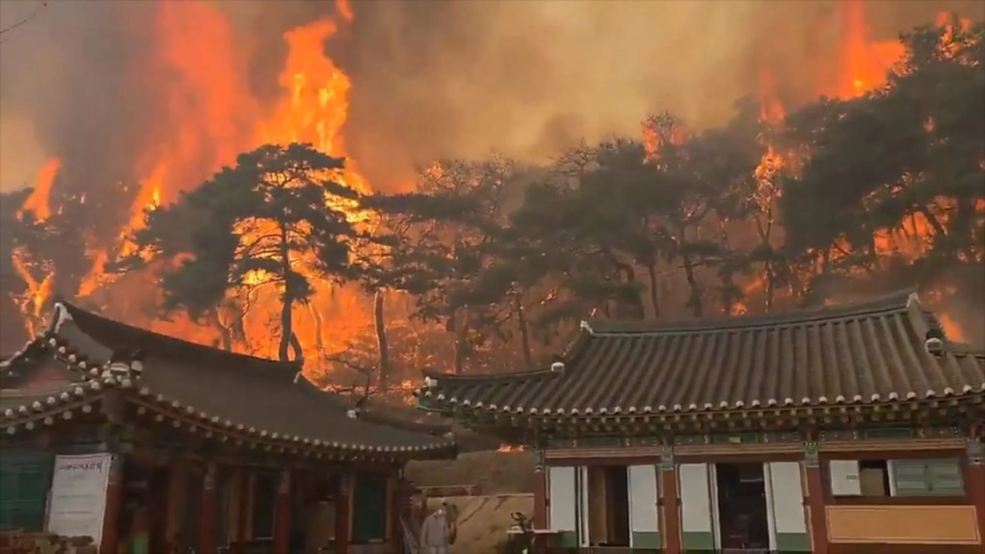 South Korea’s Worst Wildfires Leave 28 Dead, Thousands Homeless, And Heritage In Ruins