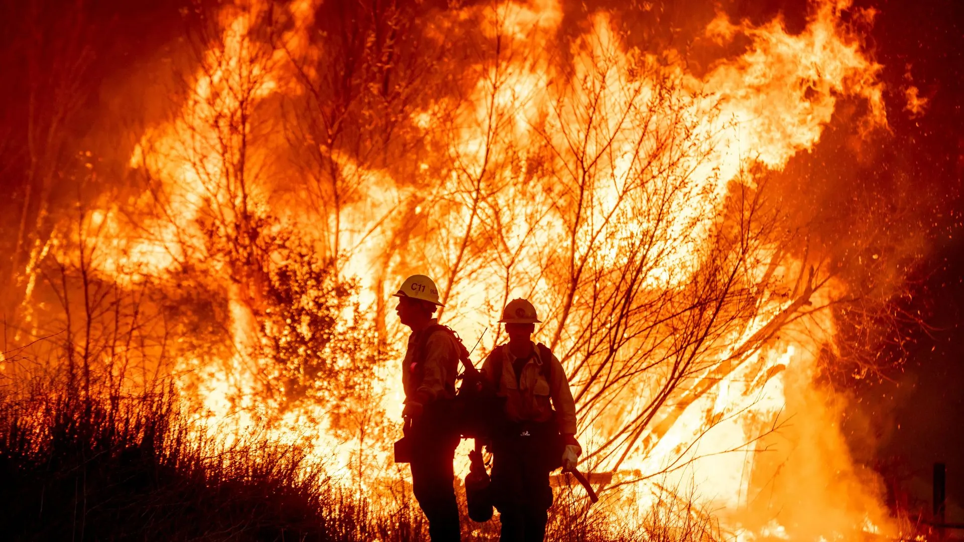 South Korea Wildfires: Emergency Declared as Blaze Kills 4, Forces Hundreds to Evacuate