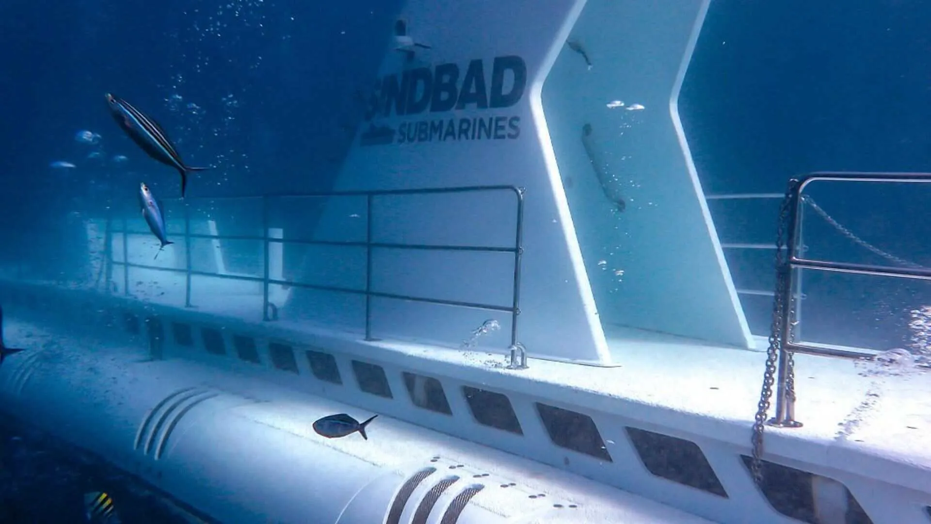 Tourist Submarine Sinks in Red Sea, 6 Feared Dead, 9 Injured
