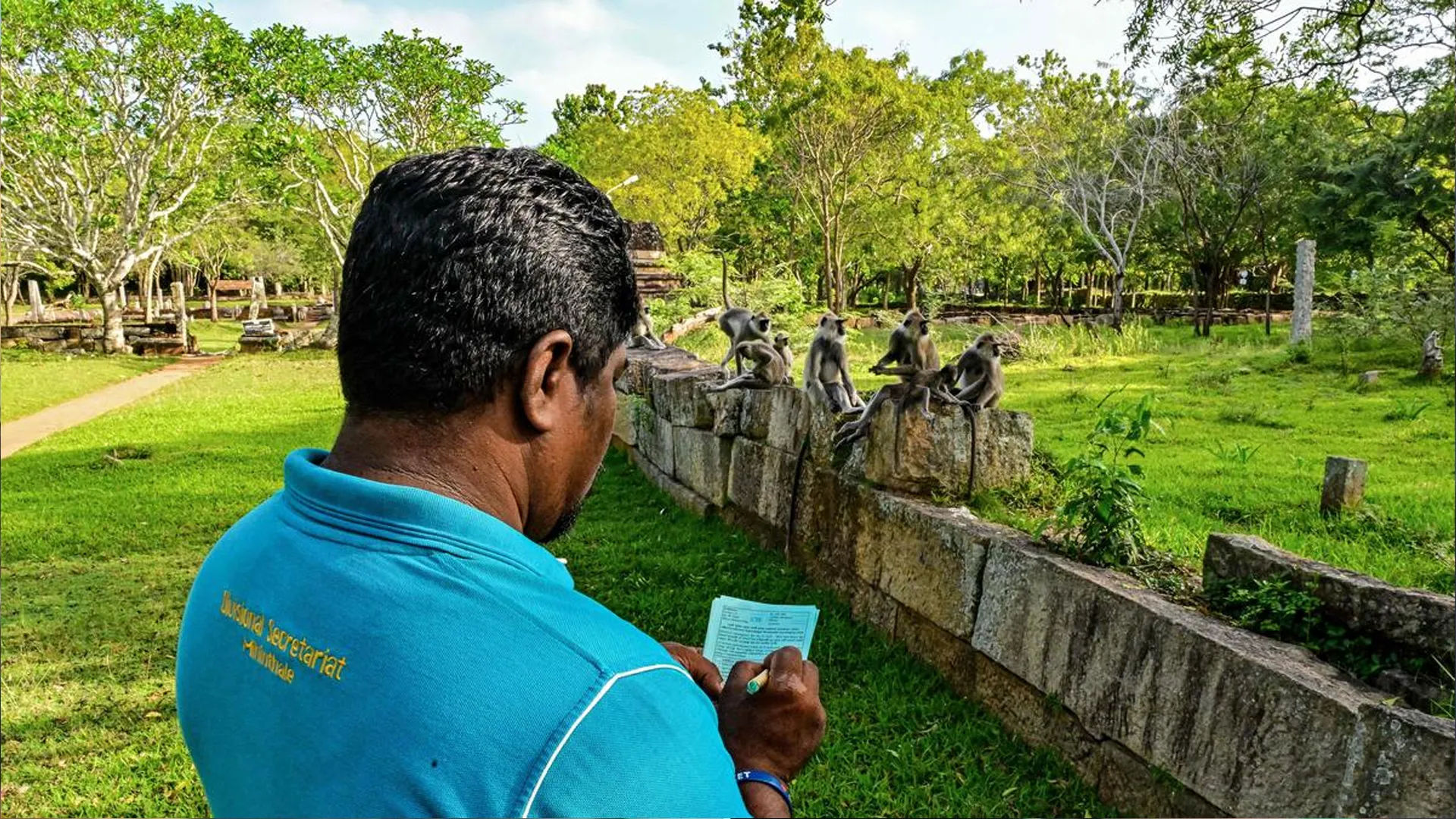 Sri Lanka Conducts Wildlife Census to Assess Crop Damage from Animals