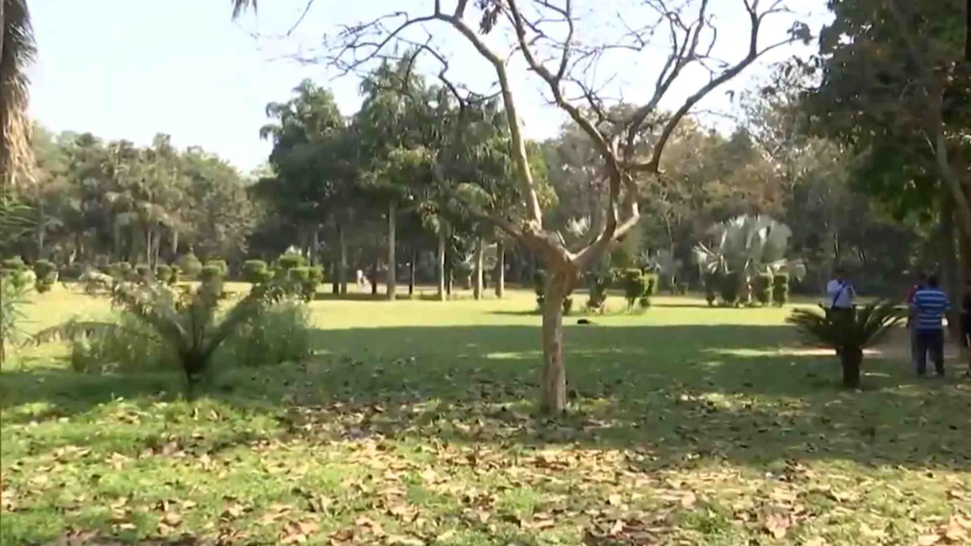 Boy and Girl Found Hanging from Tree in Delhi’s Deer Park, Suspected Suicide