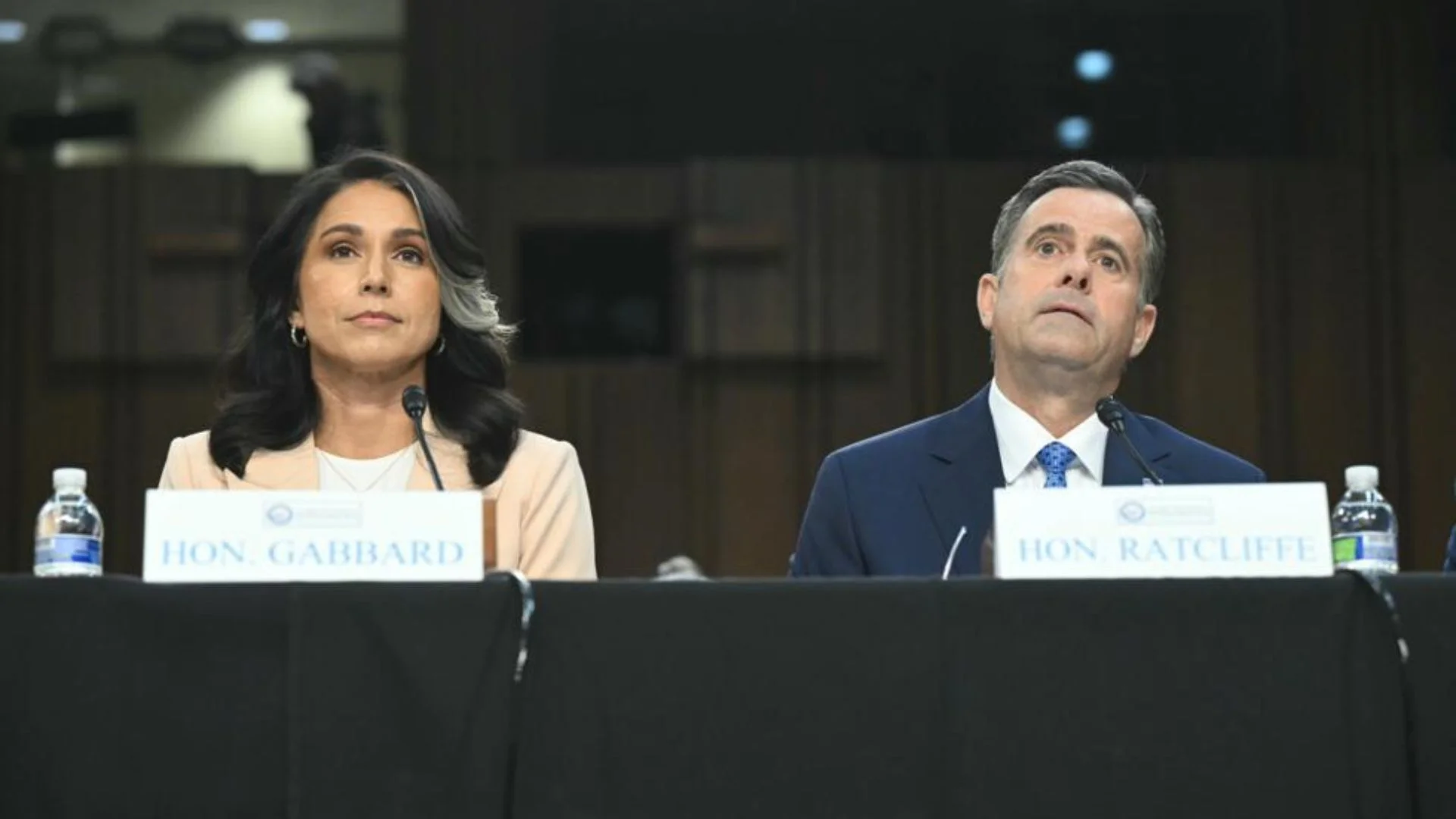 Tulsi Gabbard Defends Officials: “No Classified Info Shared” In Signal Chat Leak | WATCH