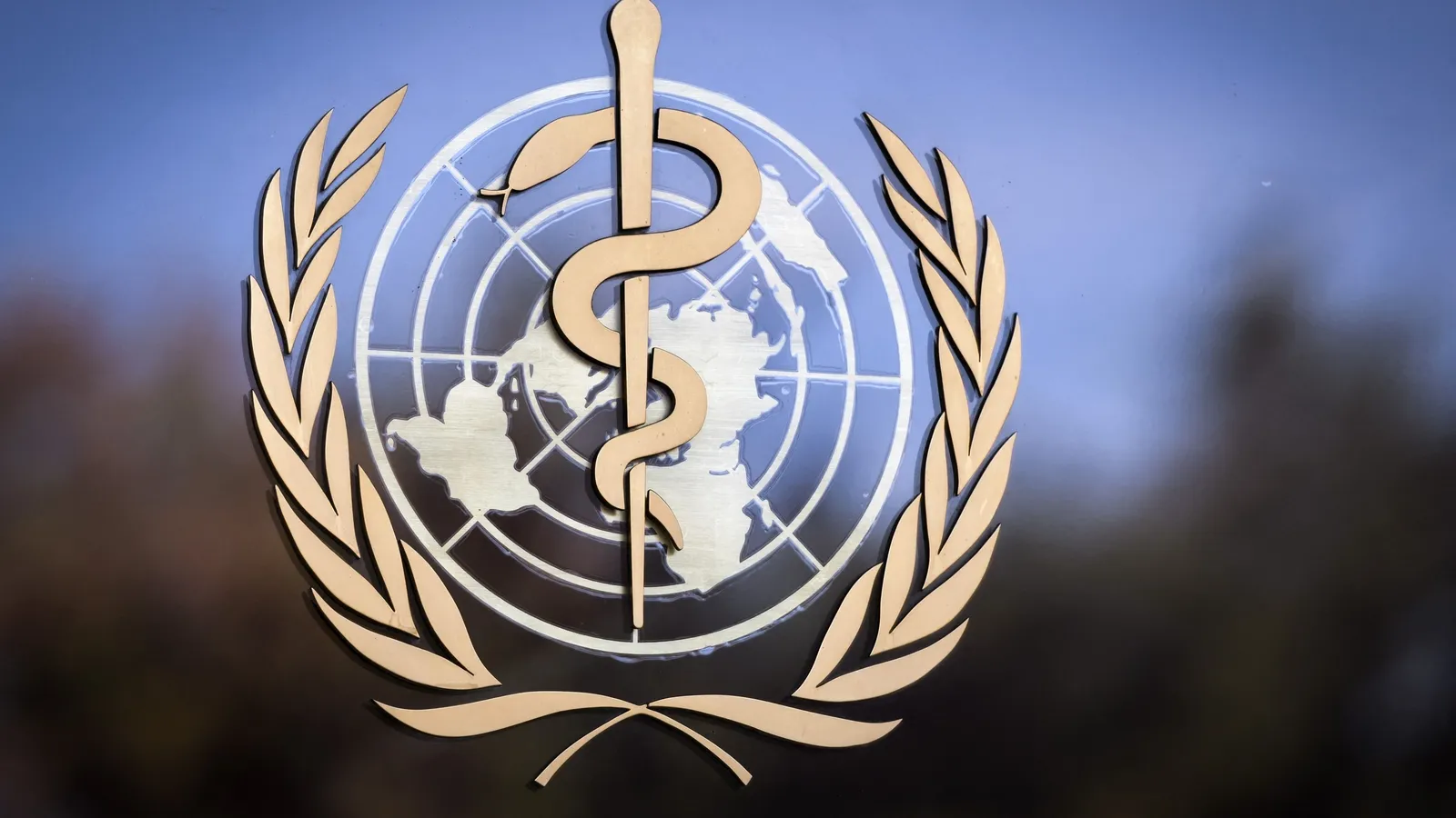 Europe Sees Measles Surge in 2024: Cases Double to 25-Year High