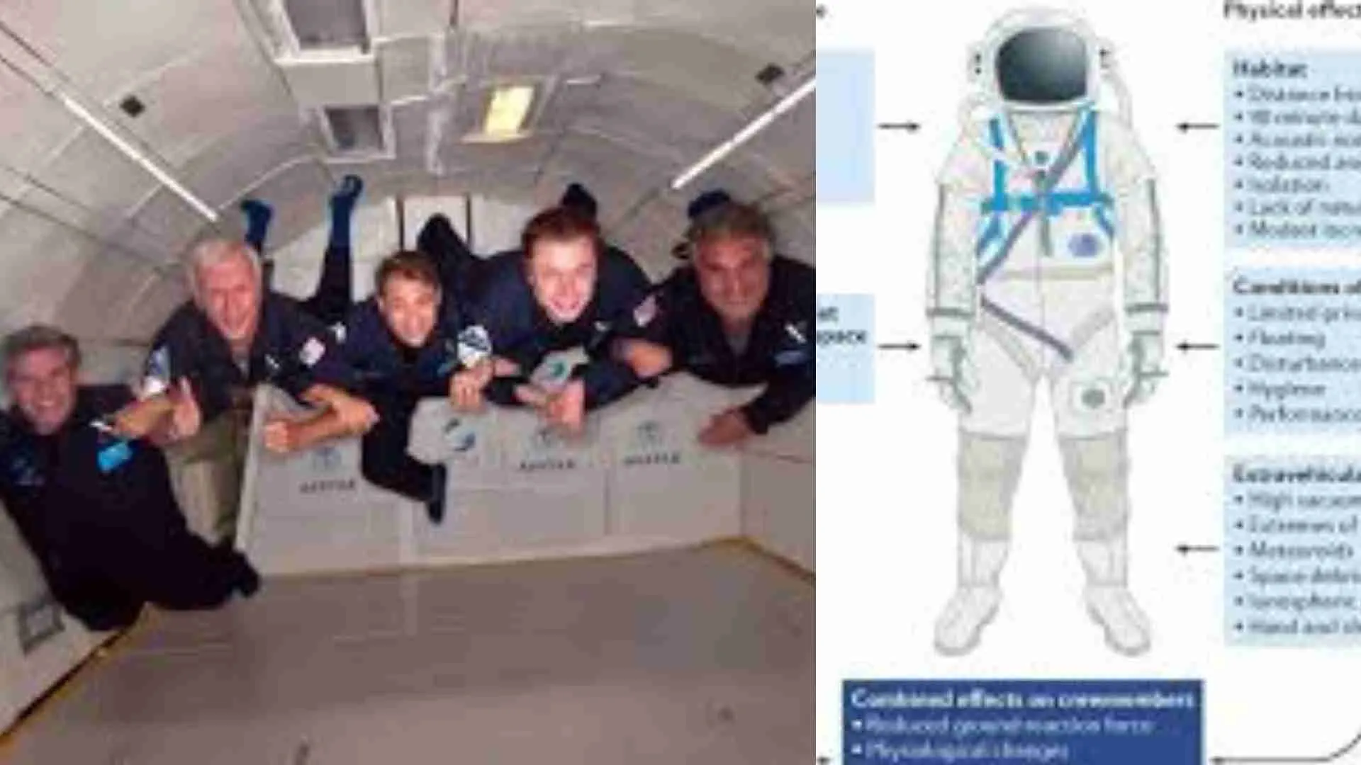 What Zero Gravity Does To The Body And How Astronauts Rebuild Strength On Earth | TDG Explainer