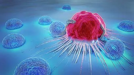 Cancer-Causing Chemical Found in Common US Breakfast Foods