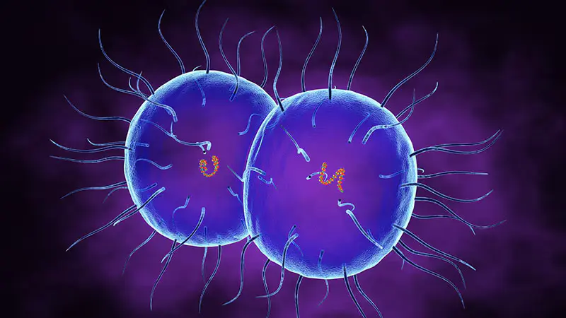 Rise of Antibiotic-Resistant Gonorrhoea in England