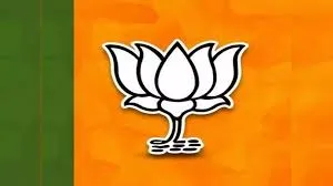 The Next BJP President