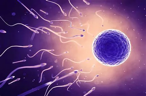 Male Infertility in India: The Impact of Toxic Lifestyles and Pollution