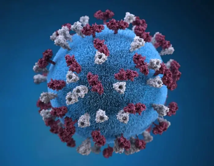 Woman Develops Deadly Infection After Receiving Wrong Measles Vaccine