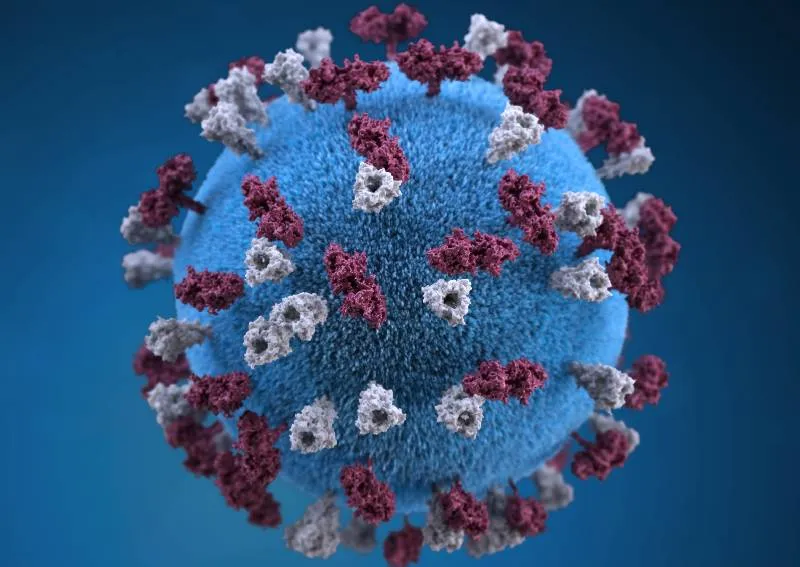 Europe Faces Measles Surge: Highest Cases Since 1997