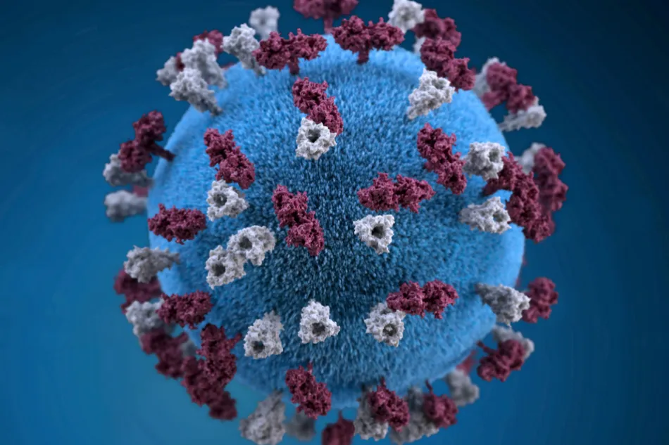 Measles Outbreak in Texas Surpasses 2024 US Total