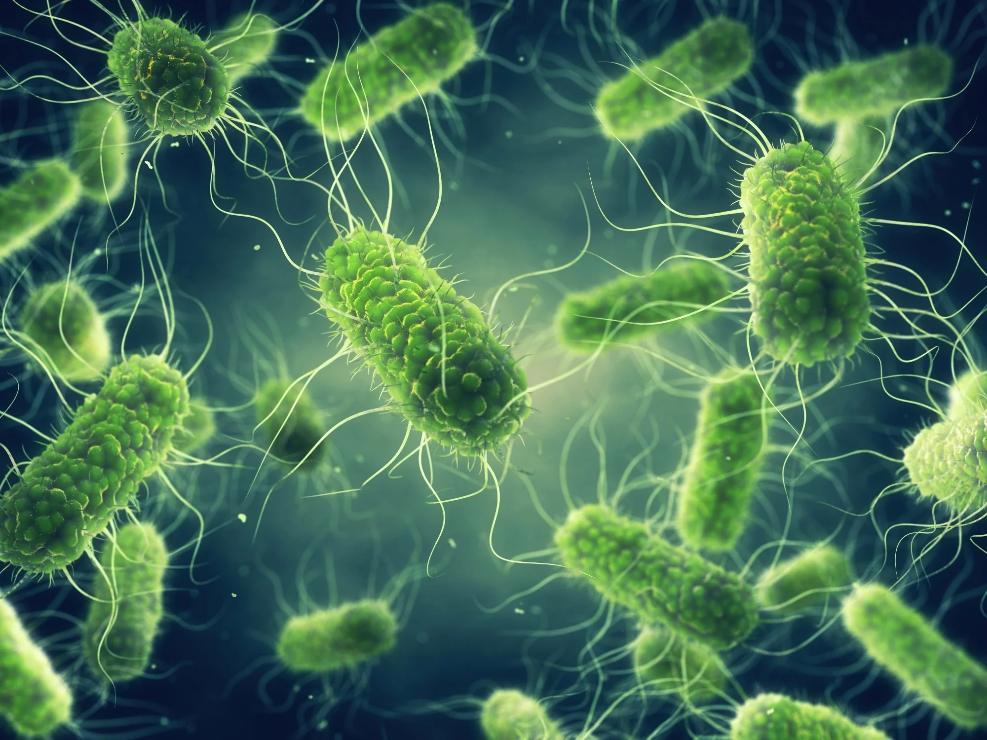 Study Finds 73% of U.S. Salmonella Cases Linked to Chicken and Vegetables