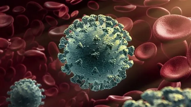 HKU1 Coronavirus Detected in Kolkata Woman: What You Need to Know