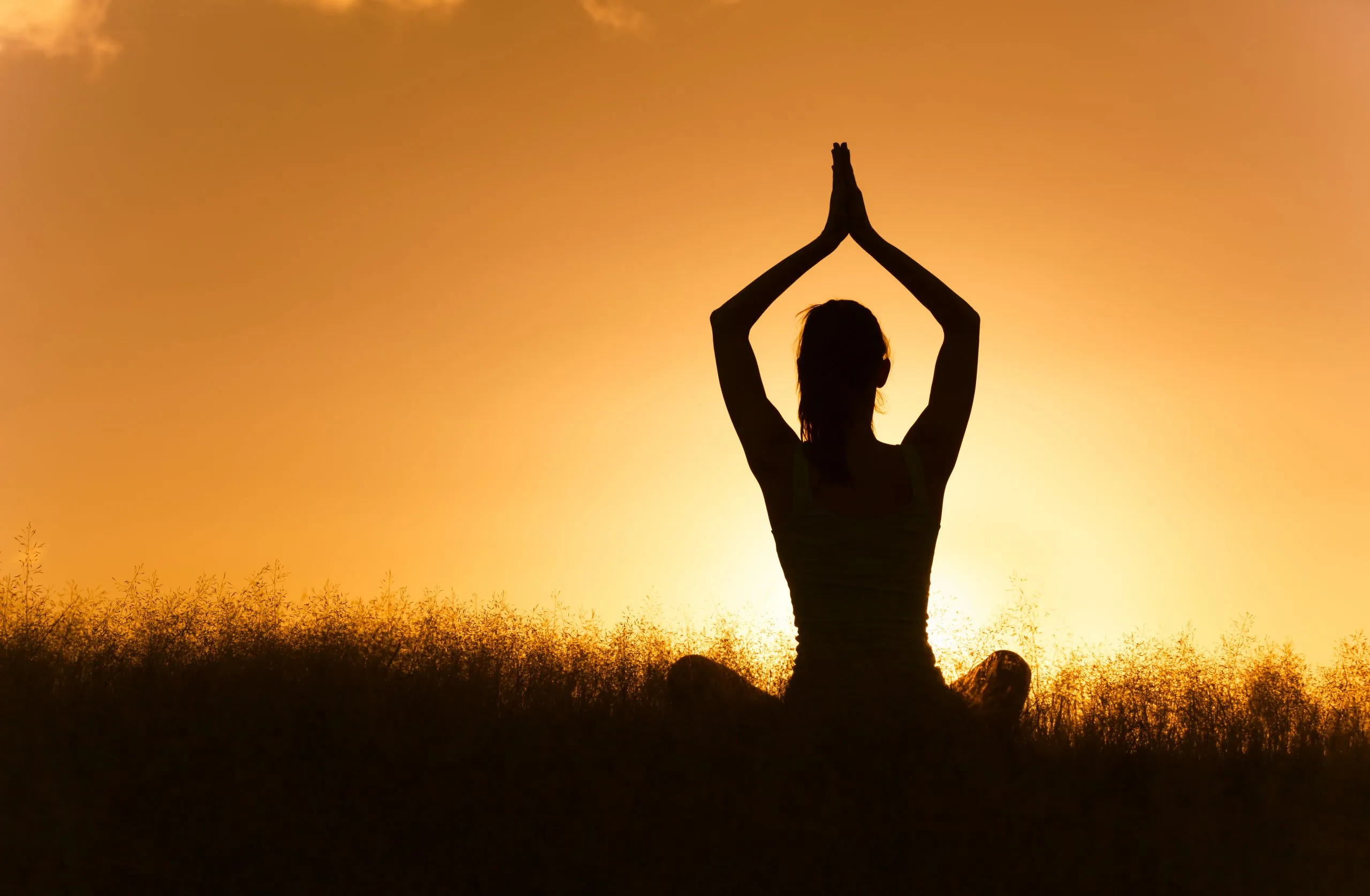 On Yoga Day, A Look at How Yoga Helps People To Stay Fit