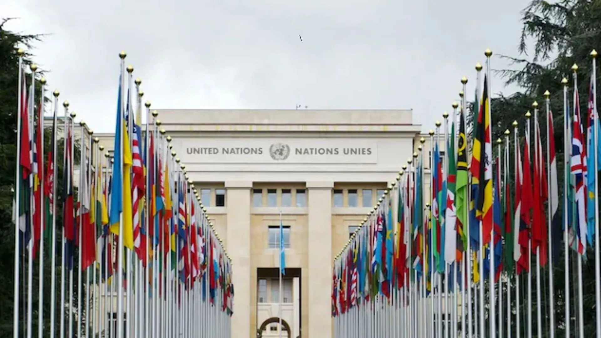 After Pahalgam Tragedy, UNSC Pushes for Justice and Accountability