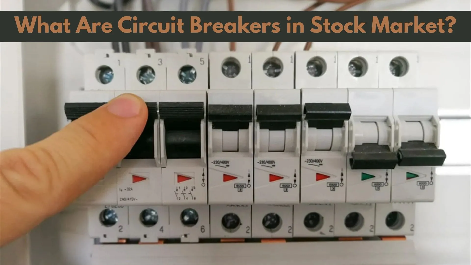 Circuit Breakers: Shields the Stock Market or Just Delays the Fall? | TDG Explainer