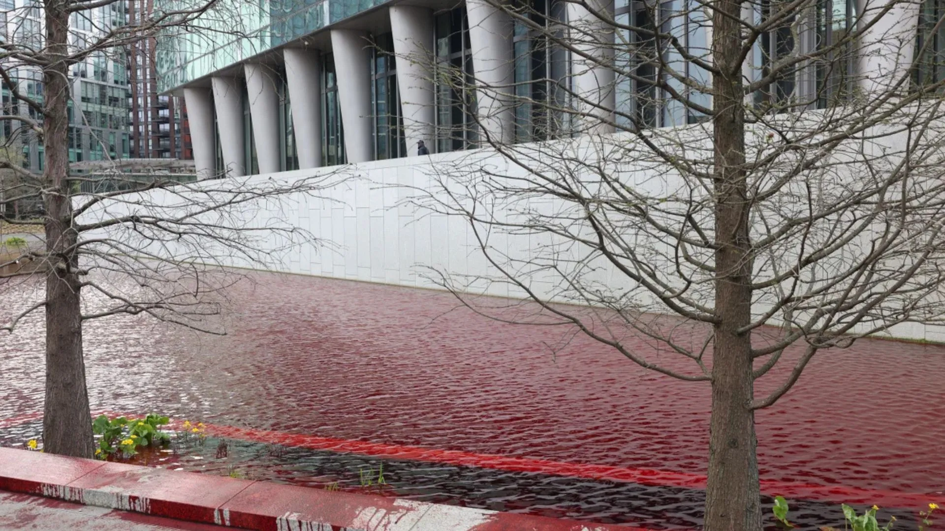 Greenpeace UK Chief, Four Activists Arrested for Dyeing US Embassy Pond Red in Anti-Arms Protest