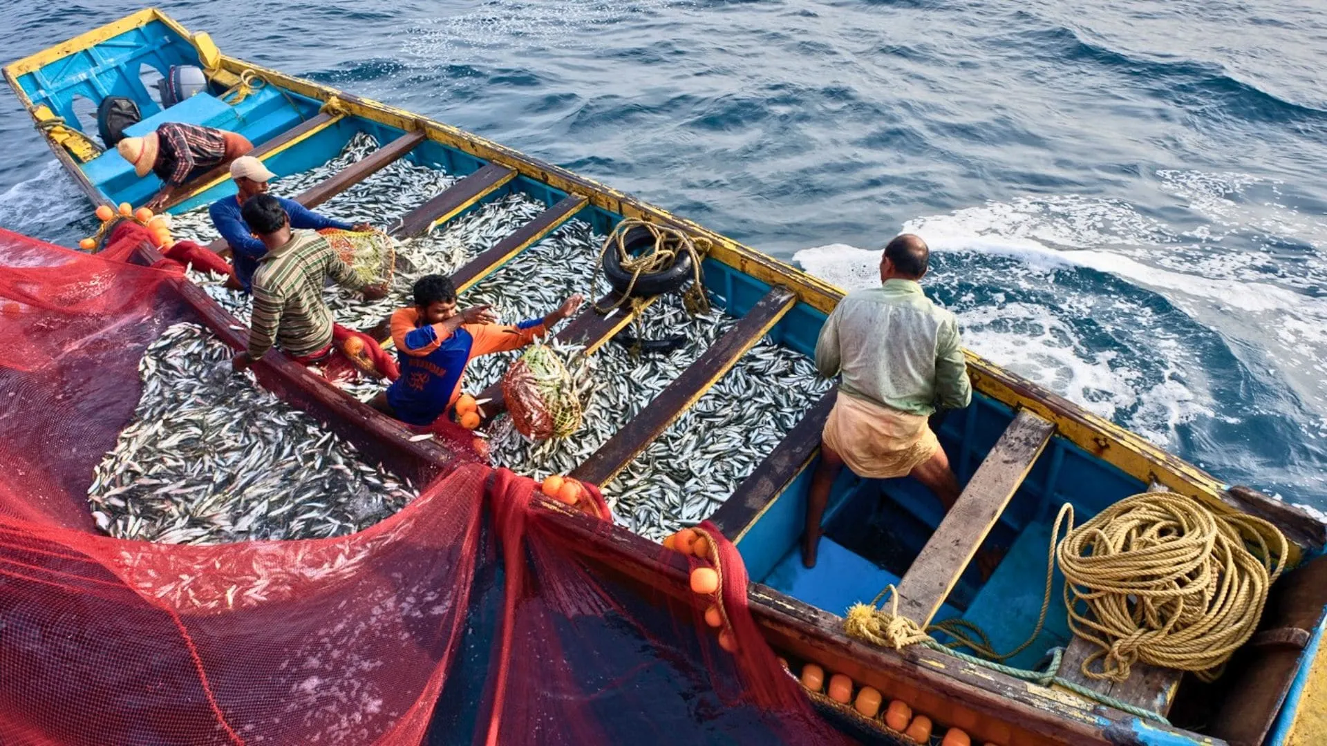 India’s Offshore Mining Plan Faces Fierce Opposition: Will the Coastline Survive? | TDG Explainer