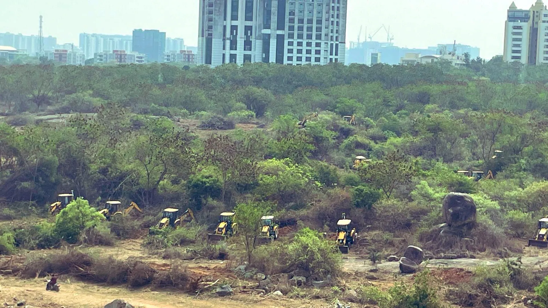 Kancha Gachibowli Forest: Hyderabad’s Green Lung Is Choking—Why the Birds Are Mourning | TDG Explainer
