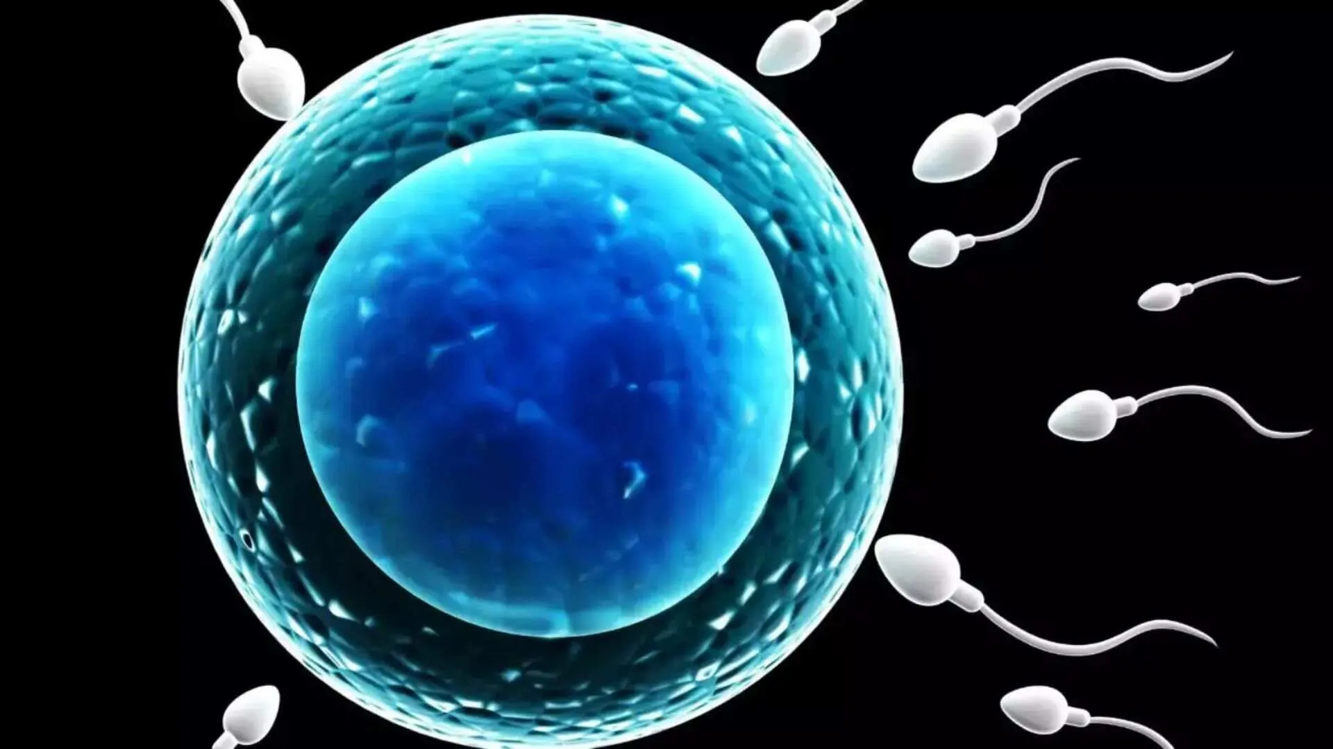 Los Angeles Hosts World’s First Sperm Race to Highlight Fertility Issues