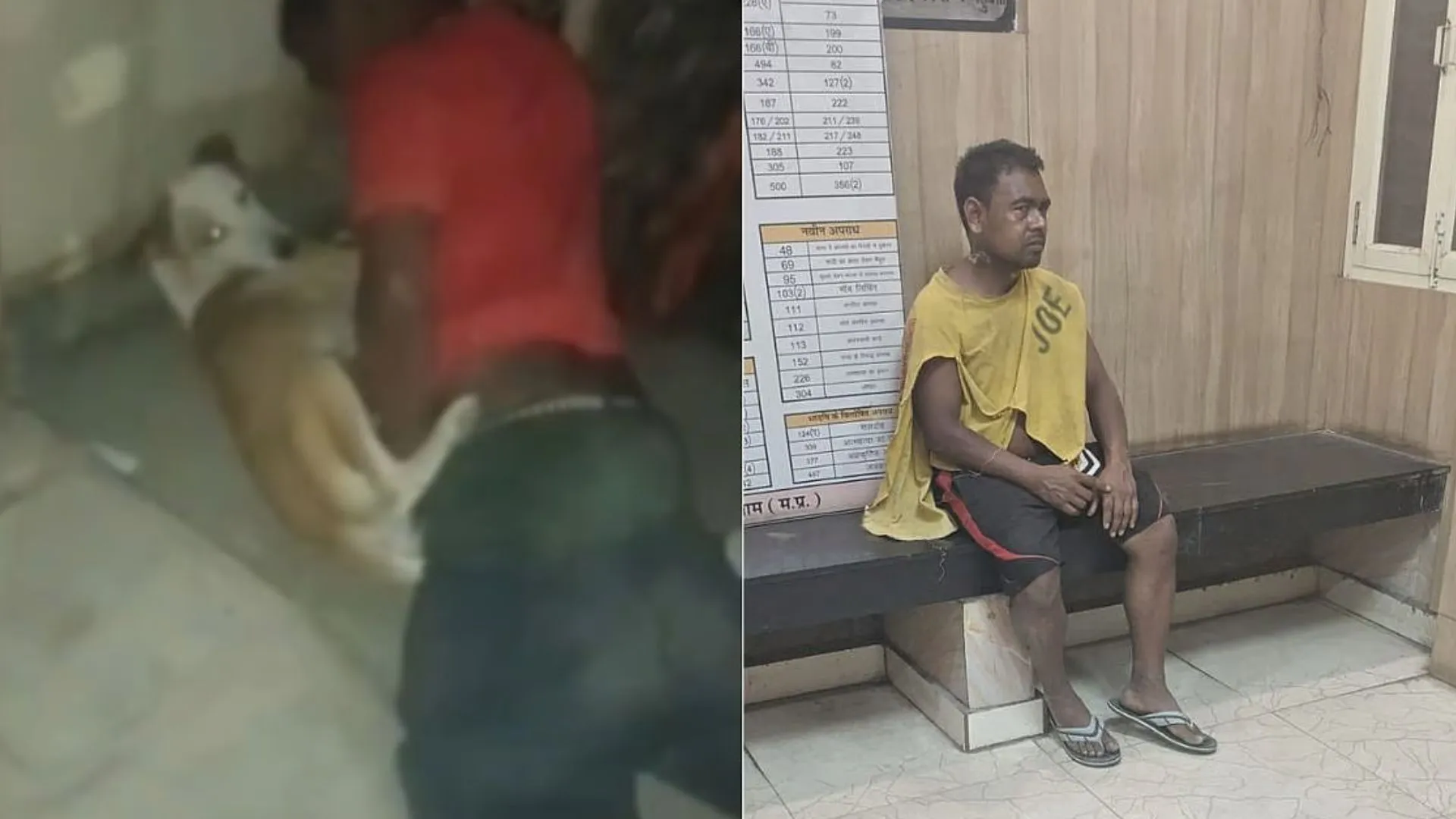 Man Beaten and Arrested for Sexually Abusing Female Dogs in Delhi | Watch