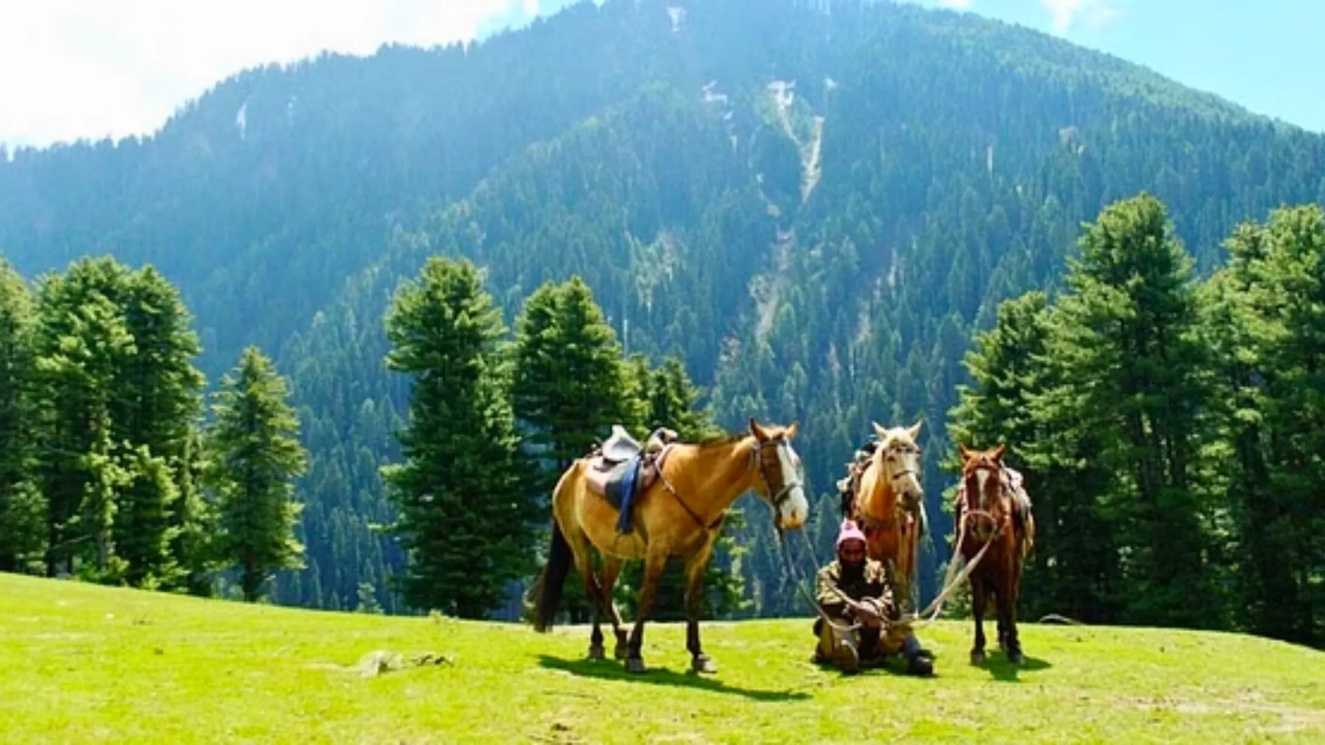 Pahalgam Terror Attack: 15-Minute Pony Ride Bargain Saves 28 Tourists