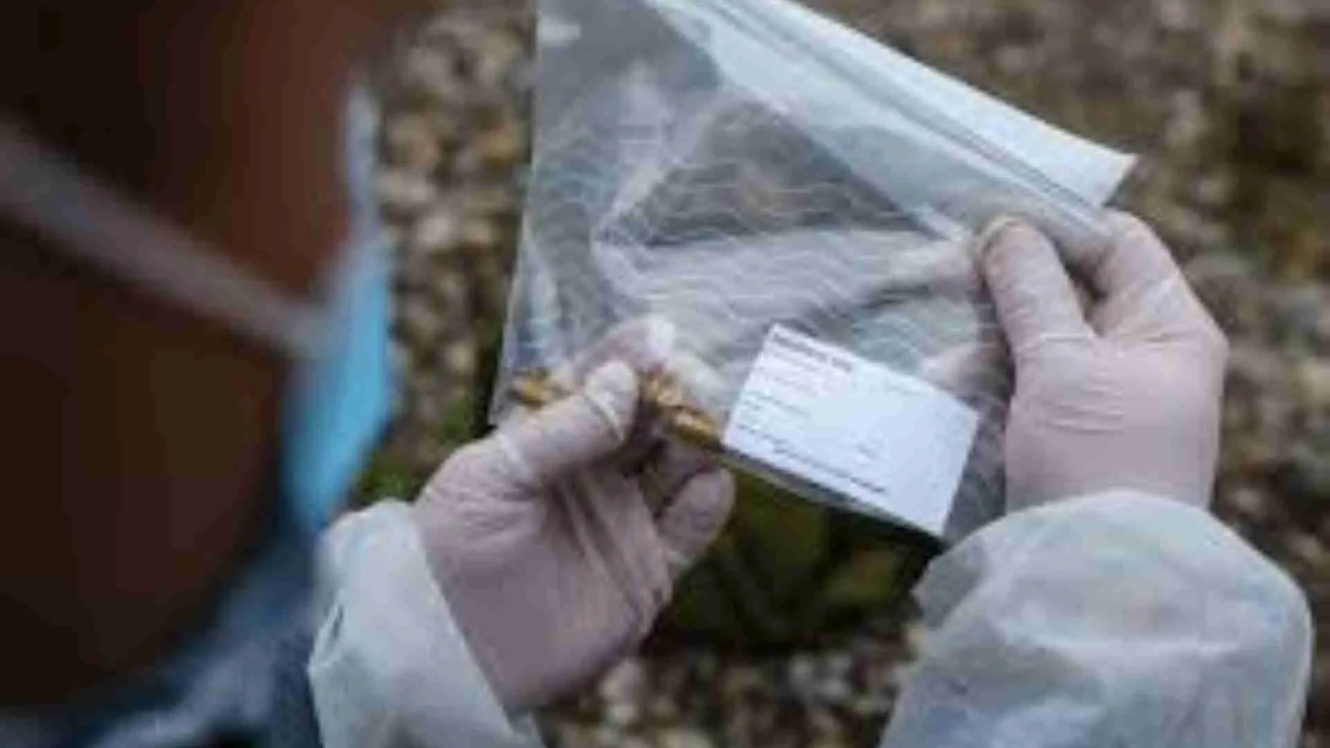 Police Find ‘Chopped Burnt Hand’ In Plastic Bag: Truth Behind It Will Leave You Speechless