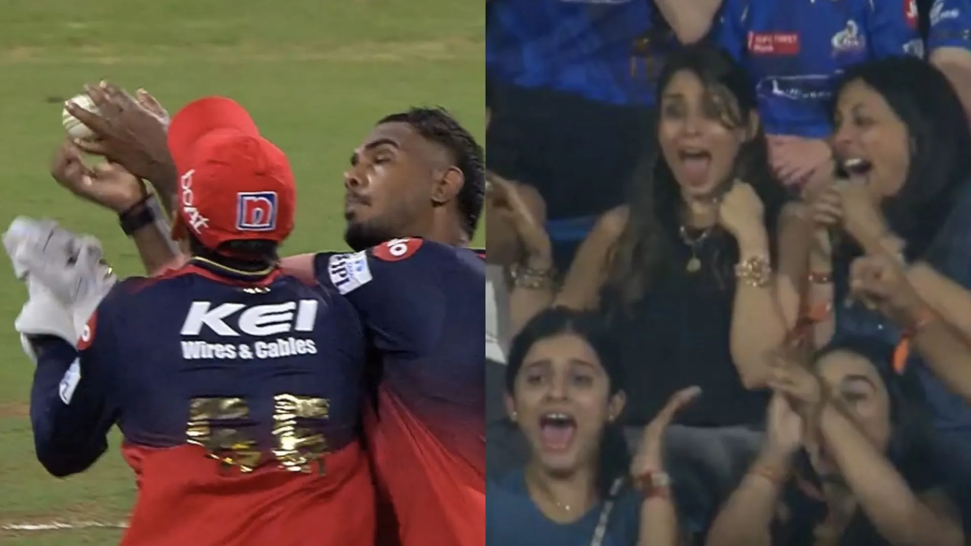 RCB’s Collision & Chaos: Fielders Crash, Catch Drops Ritika’s Reaction Says It All!