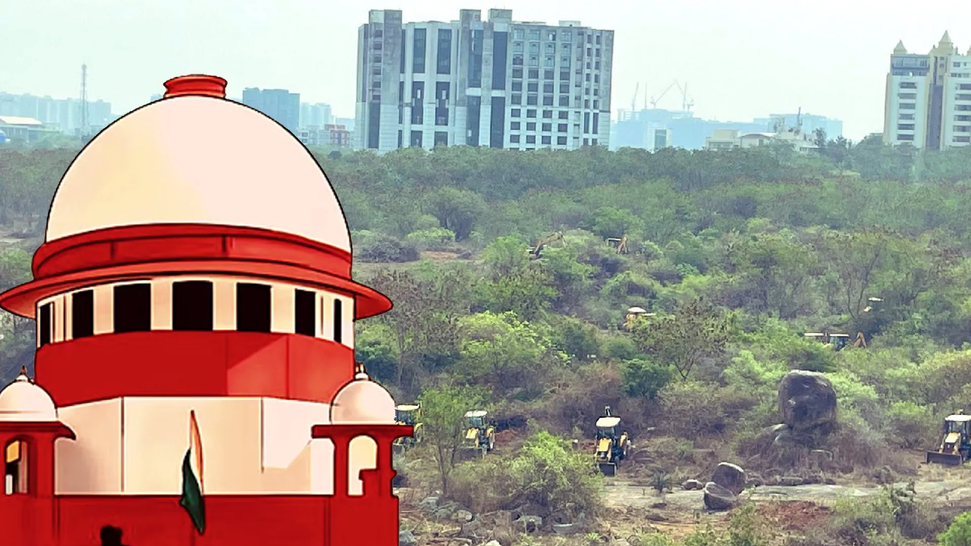 ‘Restore 100 Acres or Face Jail’: Supreme Court Warns Telangana Government over Forest Wipeout
