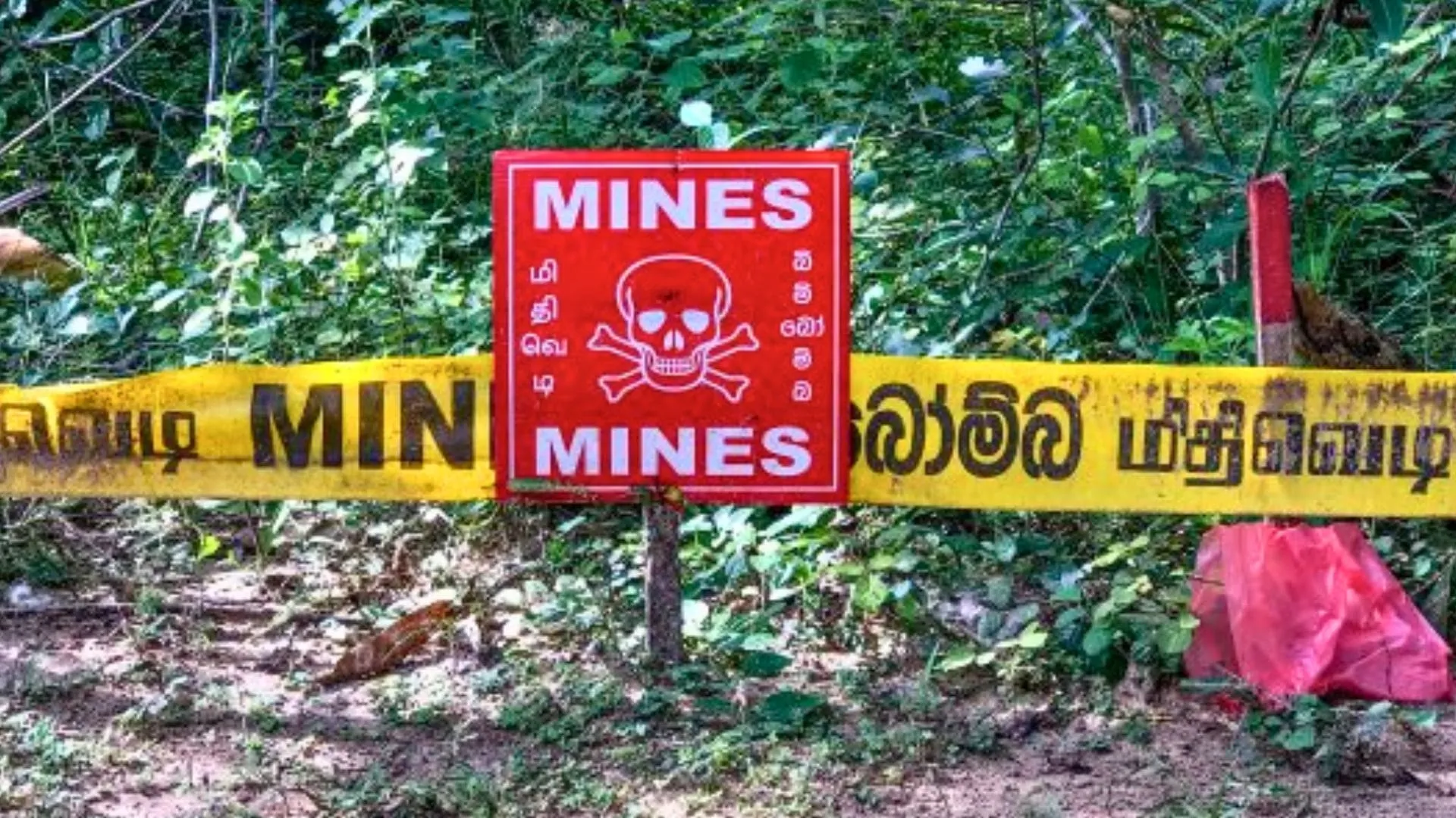 Sri Lanka’s Demining Workers in Crisis as US Freezes Aid
