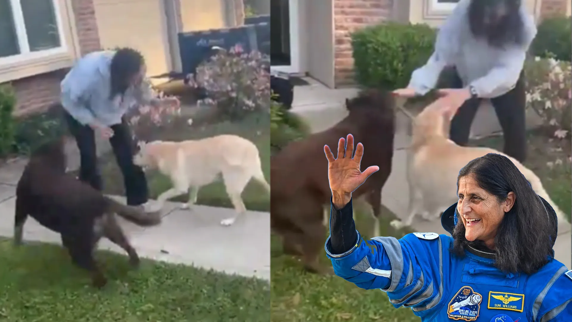 ‘Best Homecoming Ever’: Sunita Williams Spent 9 Months in Space, Dogs Greet Her Like It’s Been 9 Years