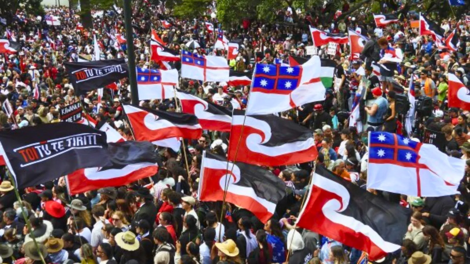 Treaty Principles Bill Rejected: Protests erupt in New Zealand over Māori Rights