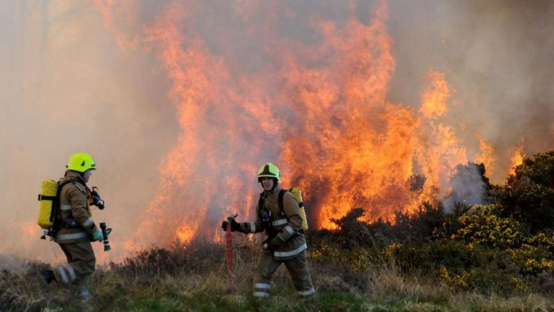 UK On High Wildfire Alert As Dry Spell Sparks Safety Warnings And Fire Risks