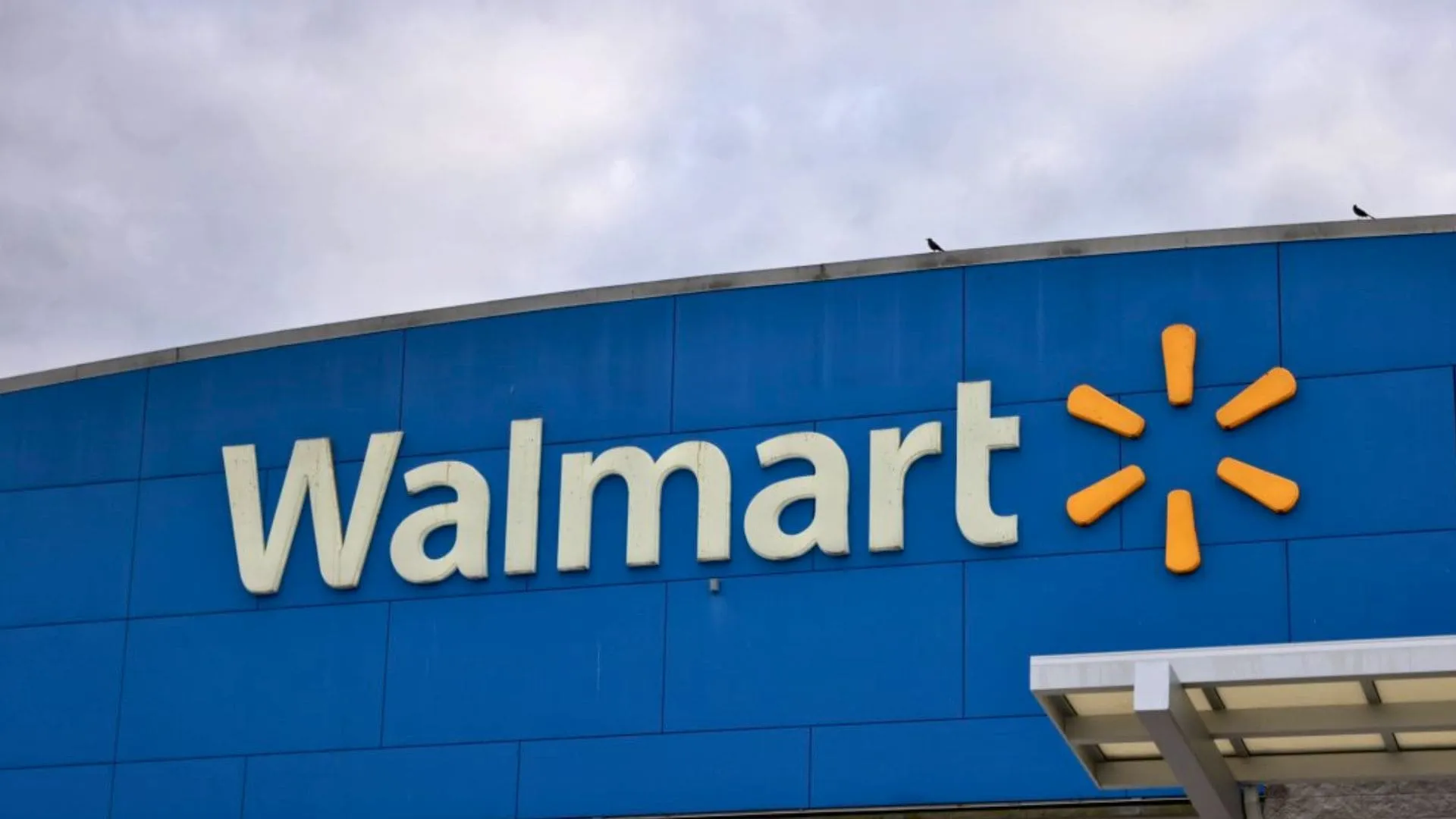 Walmart Boycott 2025: From stores to pharmacies, why the retail giant is under fire? | TDG Explainer
