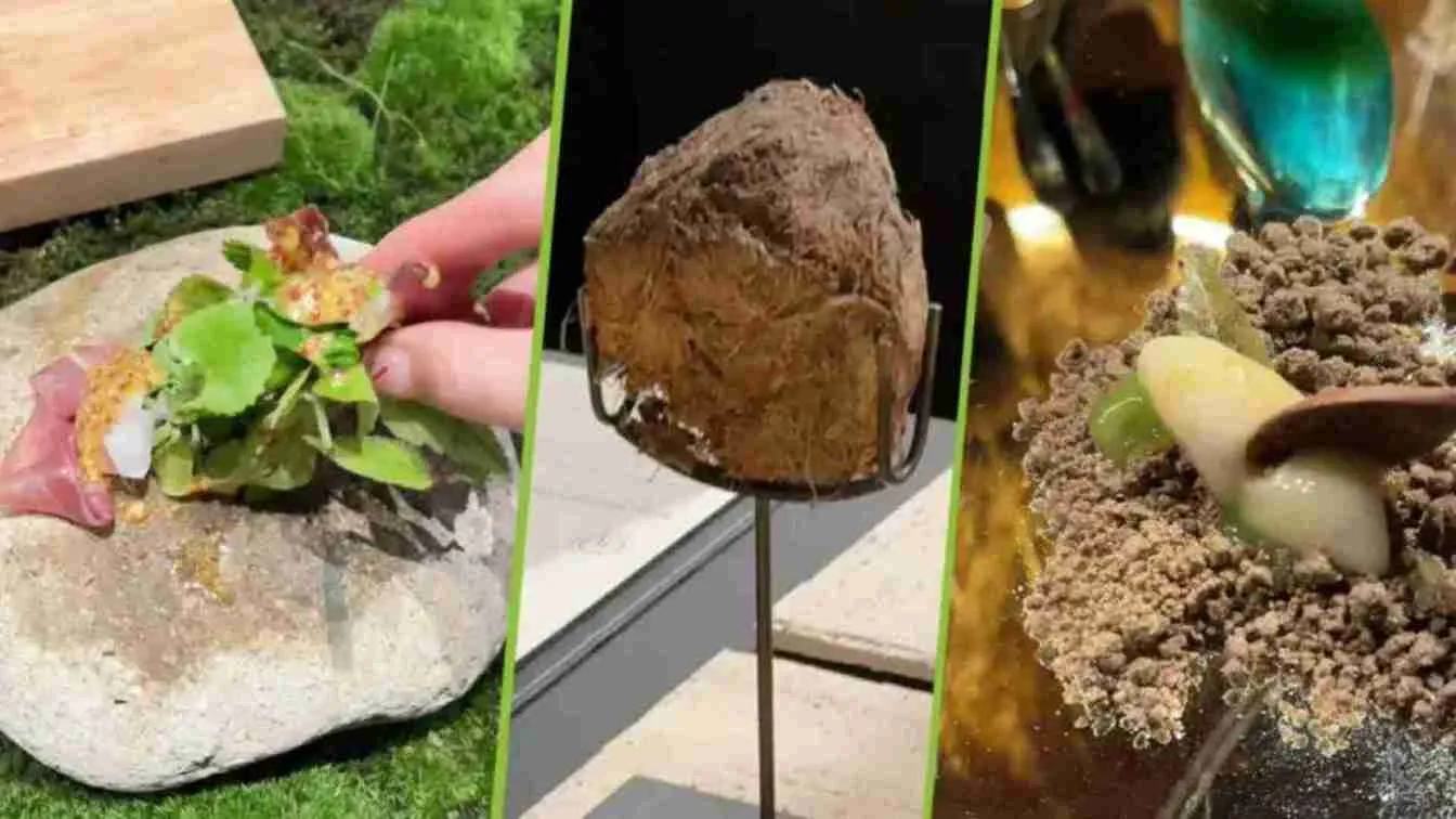 ‘Wild Dining’: This Dessert Is Made Of Elephant Dung, And It Costs Rs 45,000