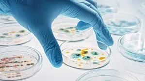 Israeli Scientists Discover How Bacteria “Spin” to Spread Antibiotic Resistance