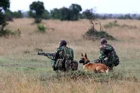 Wildlife Wars: India’s battle against eco-terrorism and global trafficking