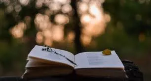 POETRY and PSYCHIATRY