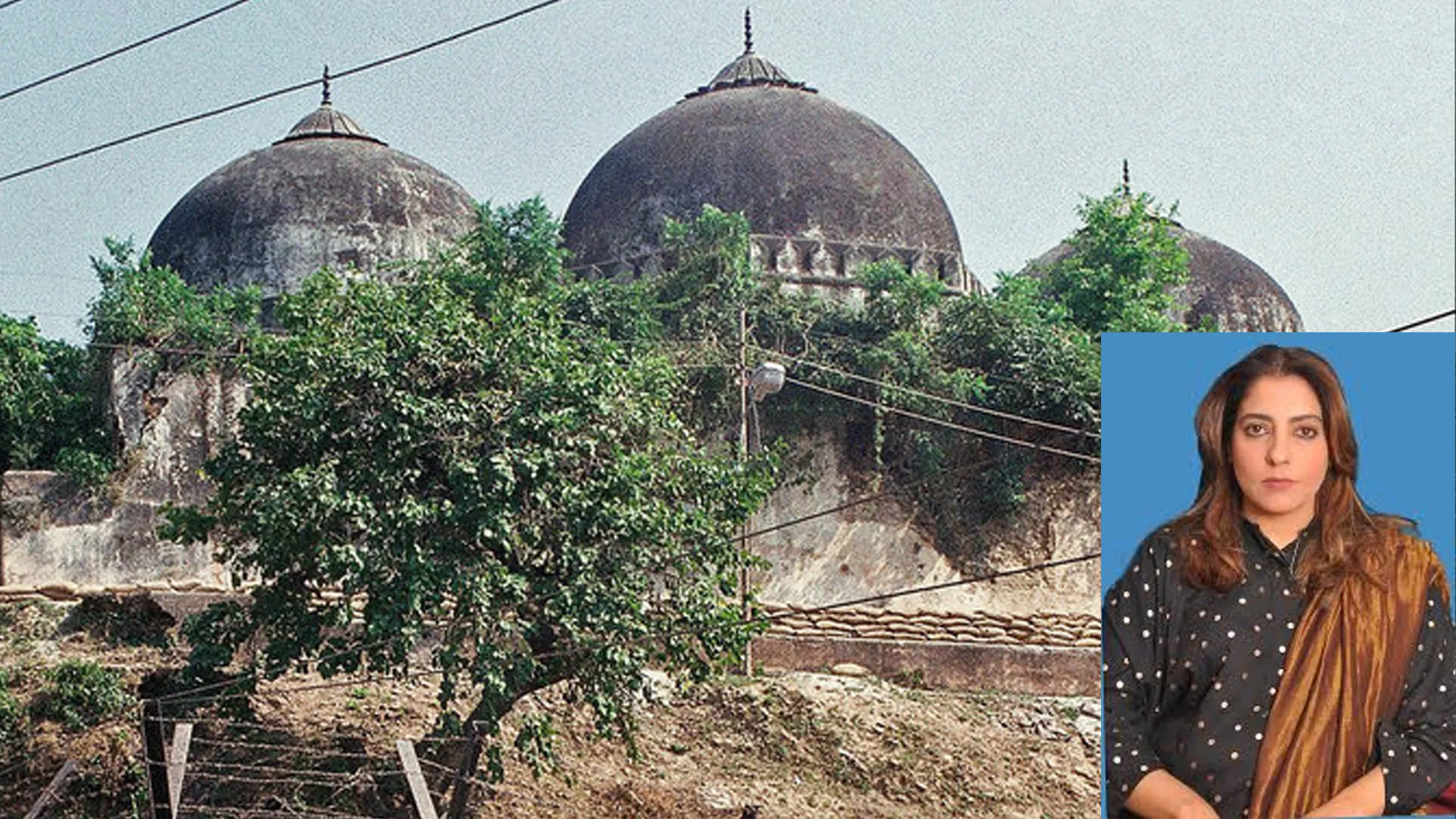 ‘Babri Mosque to Be Rebuilt by Pak Army,’ Claims Pakistani Senator in Anti-India Tirade | Watch