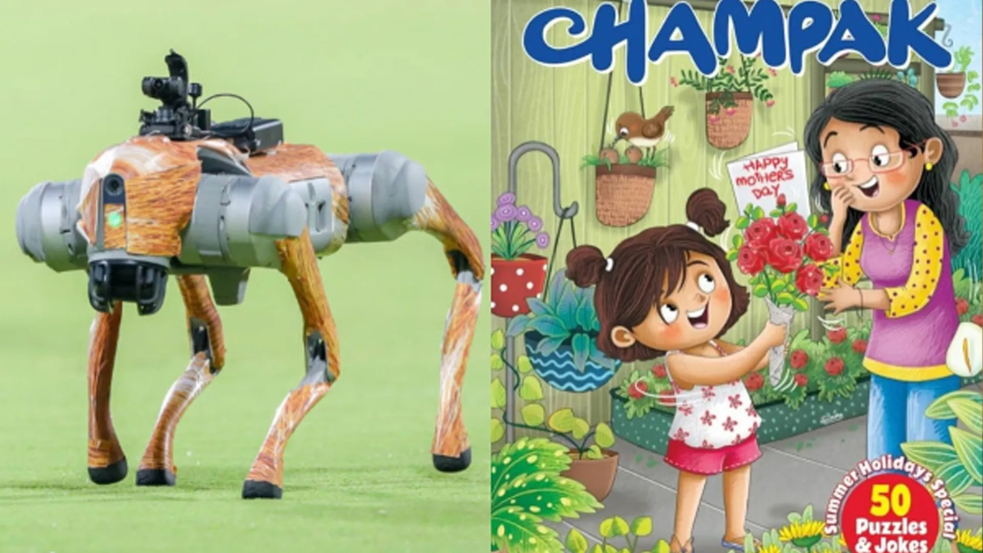 BCCI in Court After IPL Robotic Dog Named ‘Champak’ Sparks Controversy