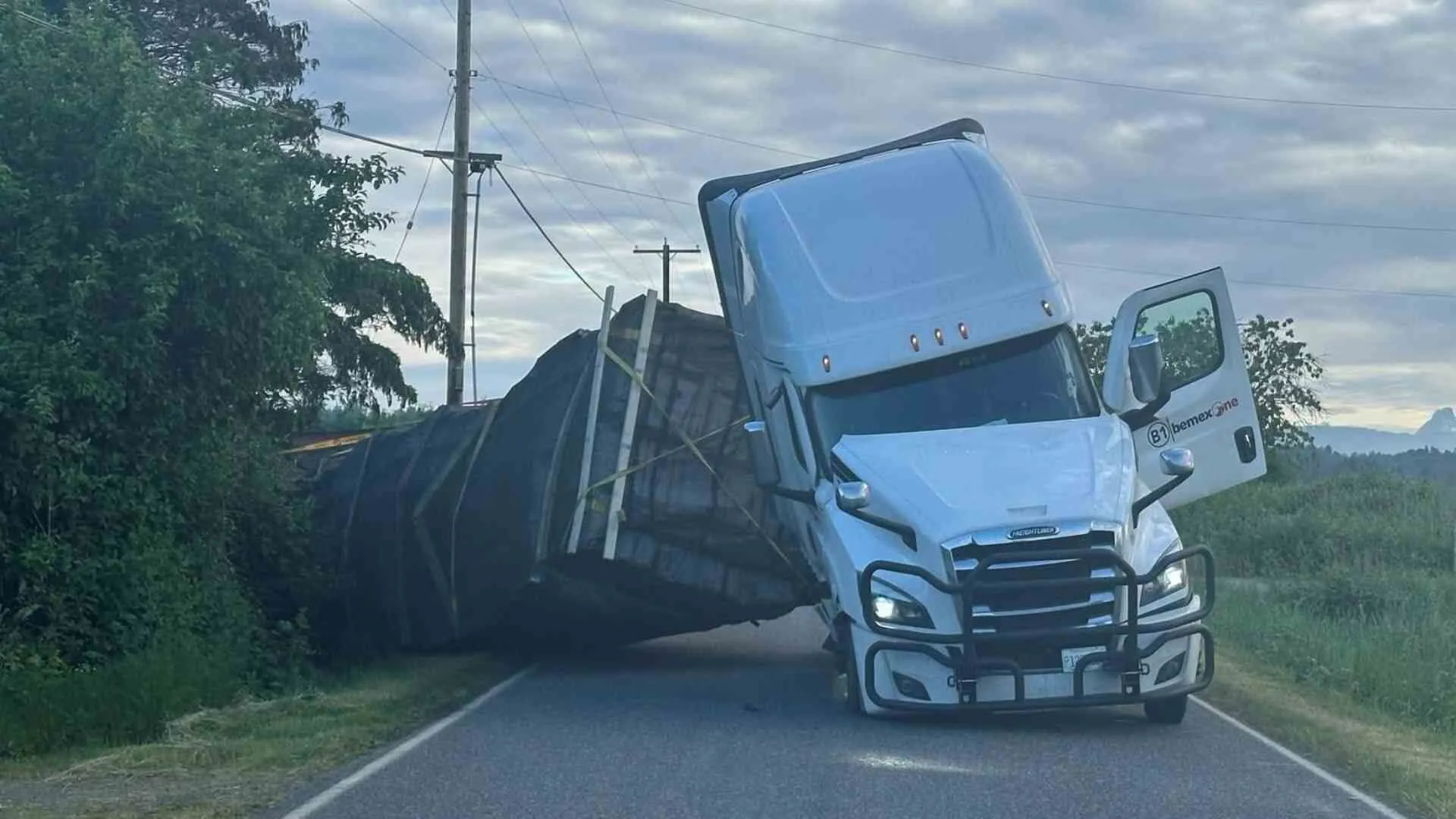 Bees Swarm Free After Truck Overturns In US, Police Urge Public To Stay Clear