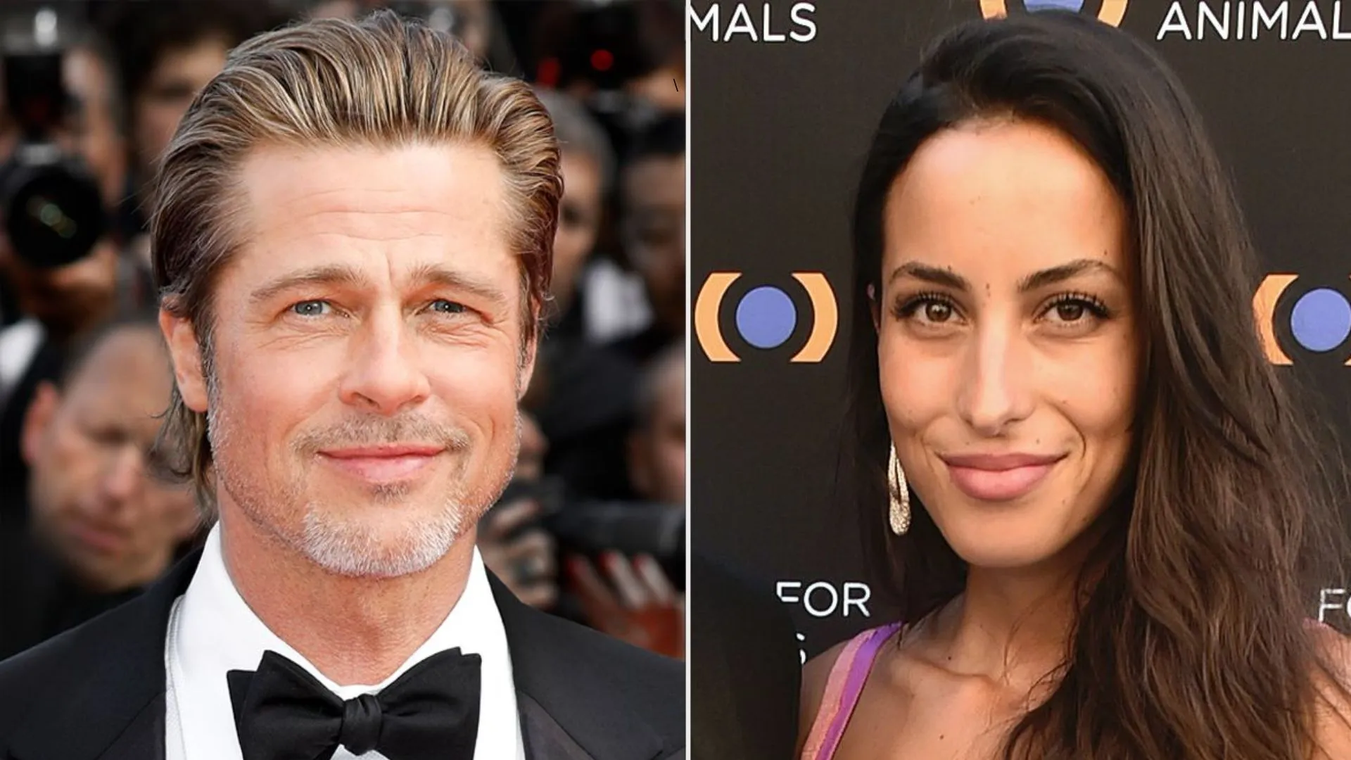 Brad Pitt Avoids Marriage Talks, Causing Tension with Ines de Ramon
