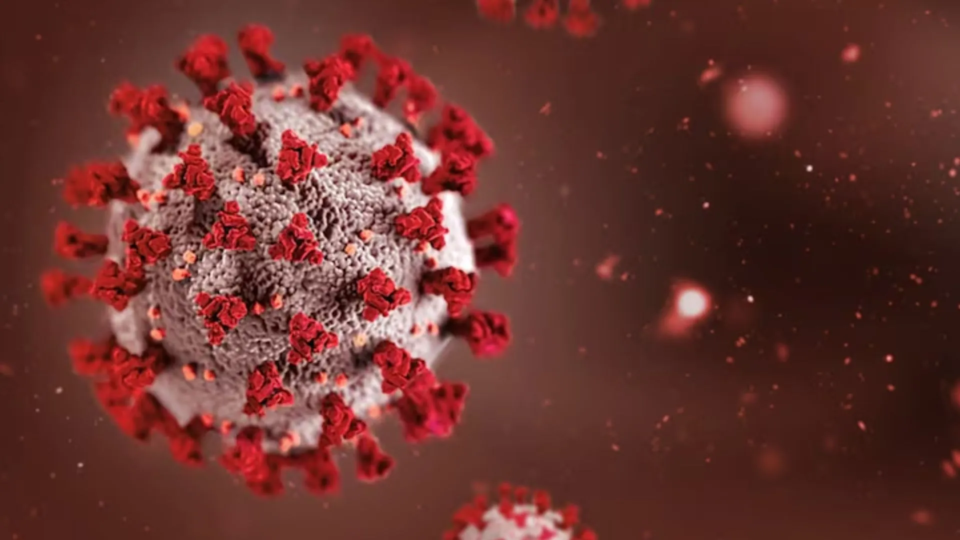 COVID Cases Rise in India as Two New Variants NB.1.8.1 and LF.7 Detected