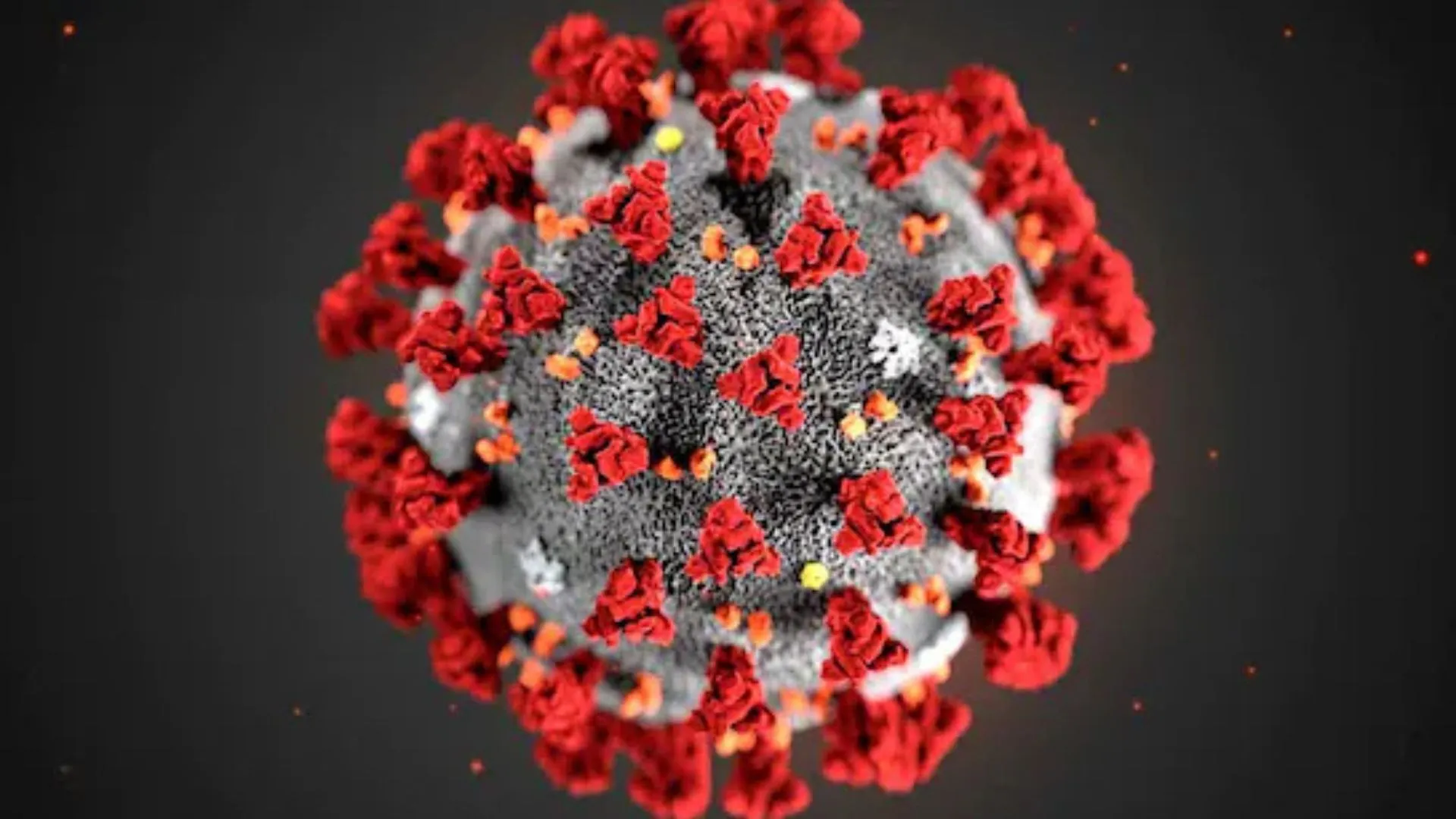 India’s COVID Cases Cross 1,000 in a Week: New JN.1 Subvariants Trigger Mild Spike