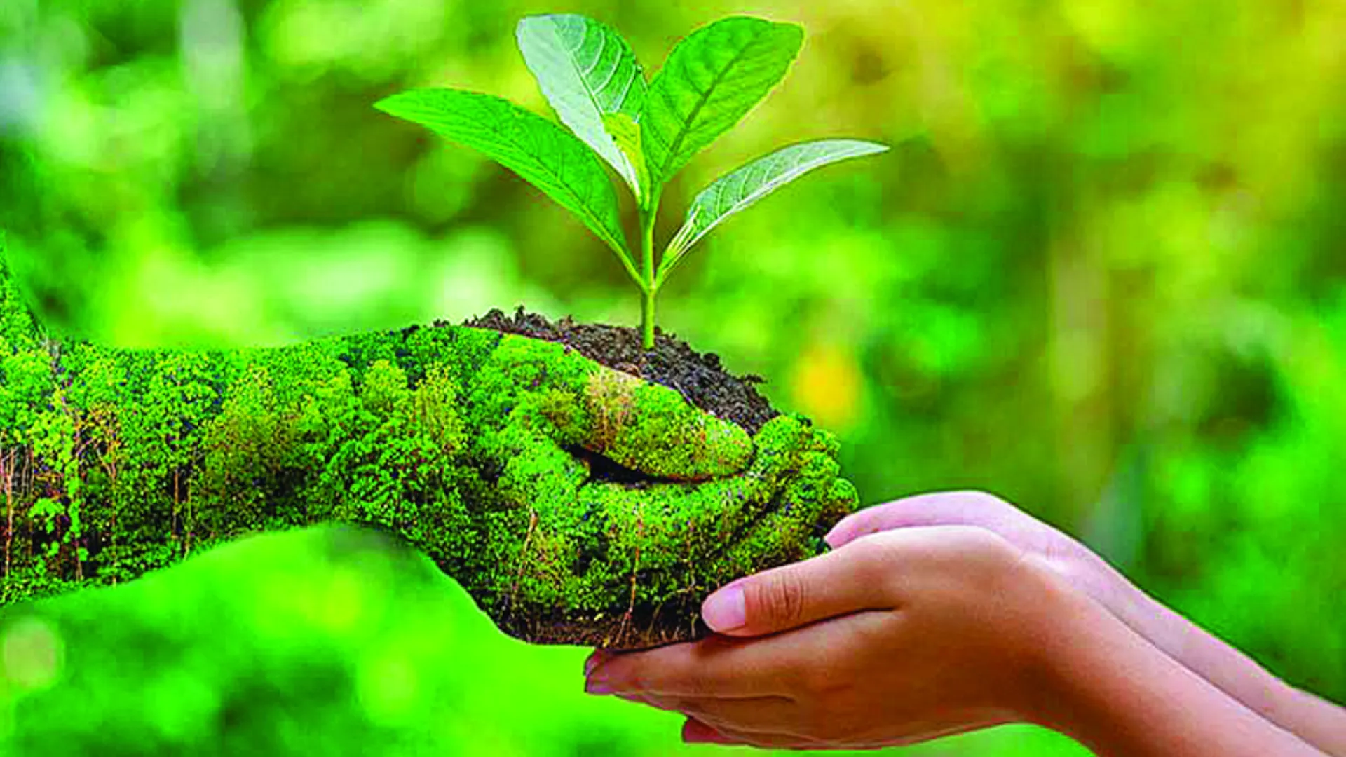 India’s Global Leadership in Biodiversity Conservation