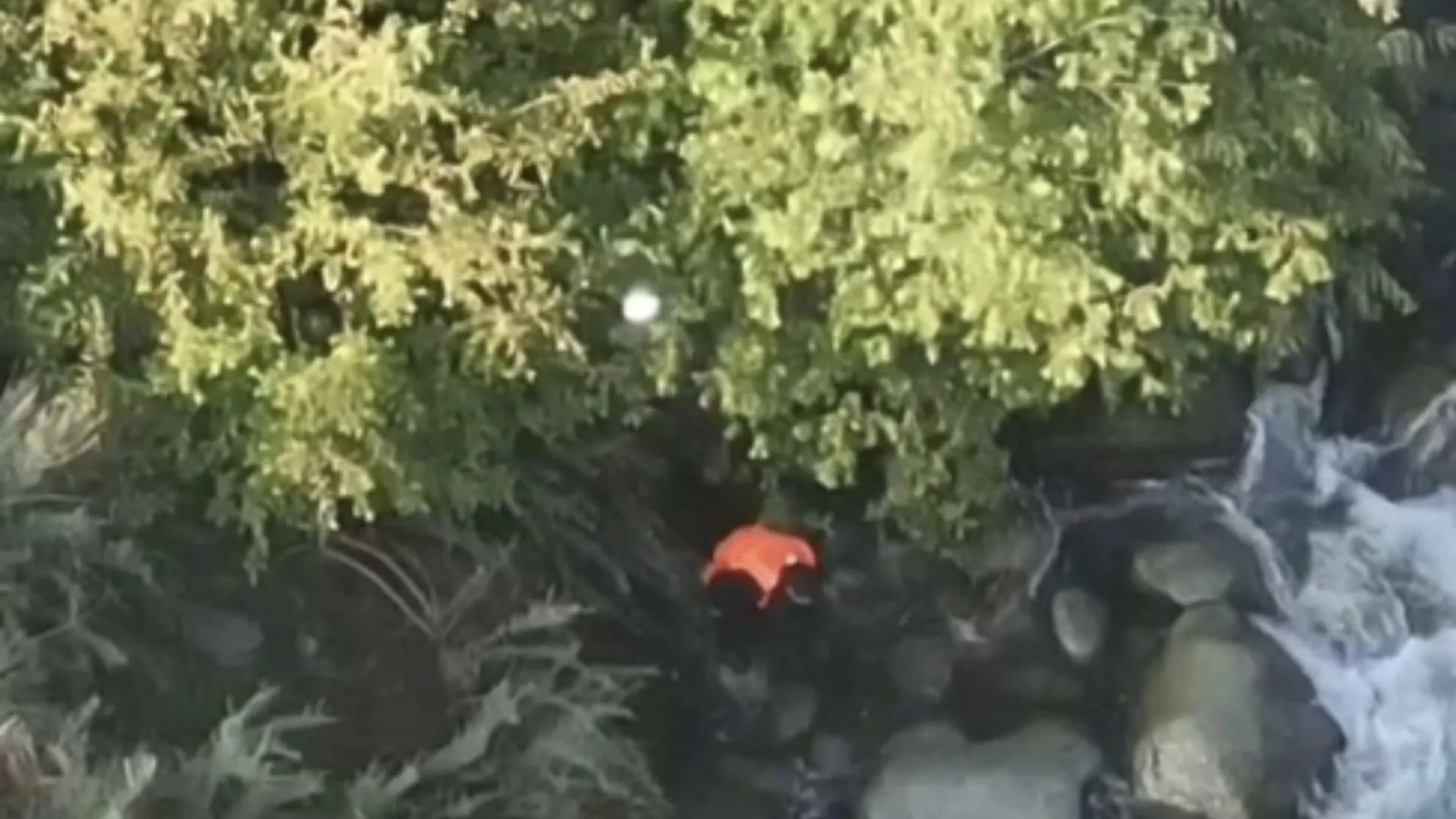 Man Accused of Aiding Terrorists in J&K Dies After Jumping Into River | Watch