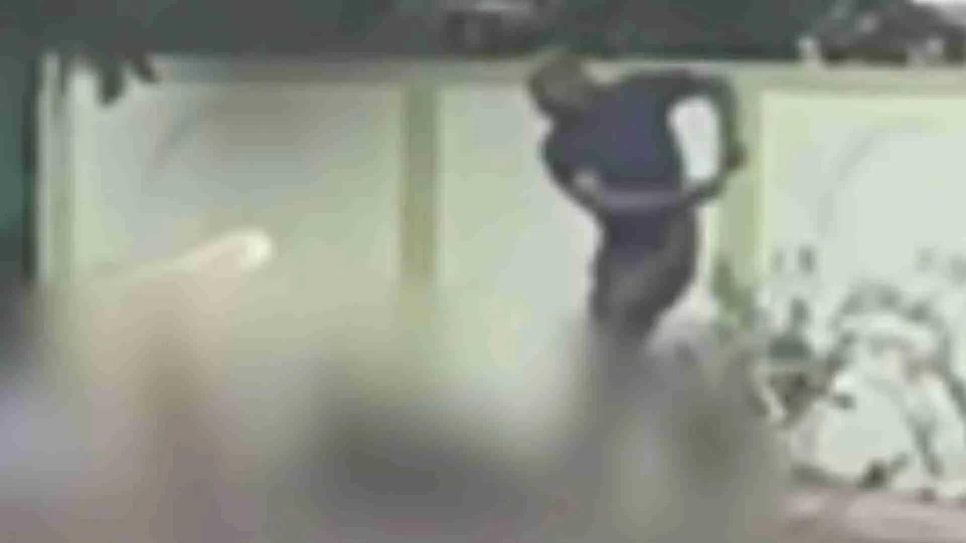 Man Kills Elder Brother With Iron Rod In Broad Daylight On Busy Road In Maharashtra | WATCH