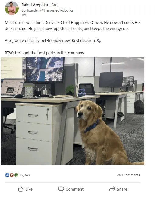 The Daily Guardian