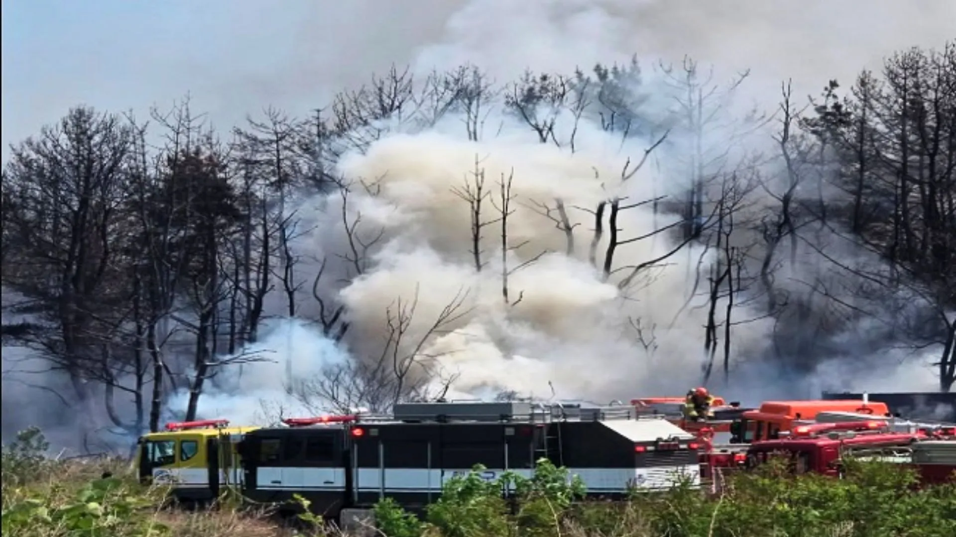 South Korean Navy P-3 Patrol Plane Crashes in Pohang, Rescue Underway