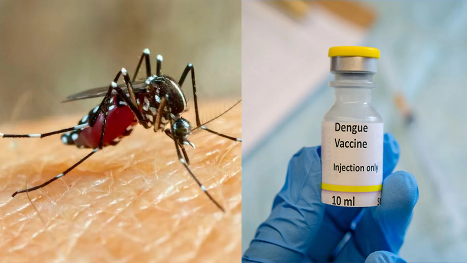 ‘Made in India’ Dengue Vaccine Qdenga Likely to Launch by 2026